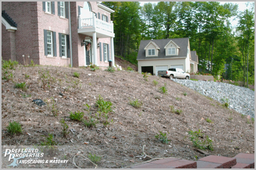 CT Landscaping featured 06 featured 06